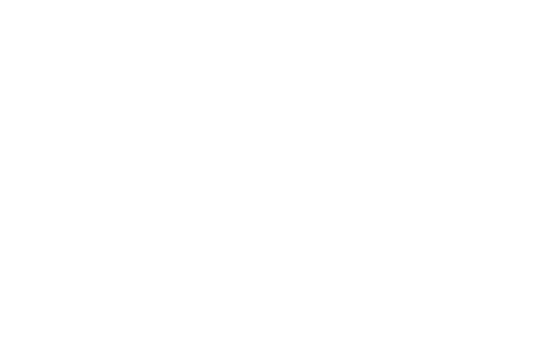 WSelent inova processos com ajuda da tecnologia